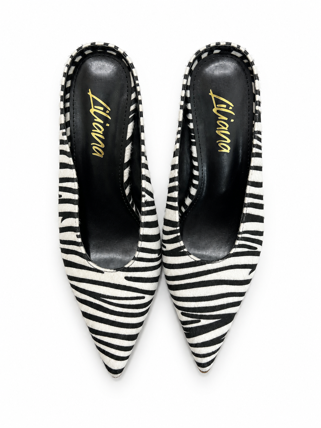 BRENDA ZEBRA